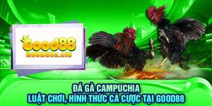 da-ga-campuchia-luat-choi-hinh-thuc-ca-cuoc-tai-good88