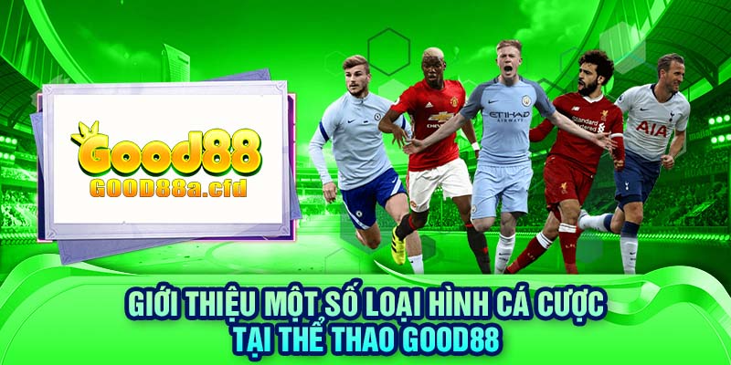 Giới thiệu một số loại hình cá cược tại thể thao GOOD88