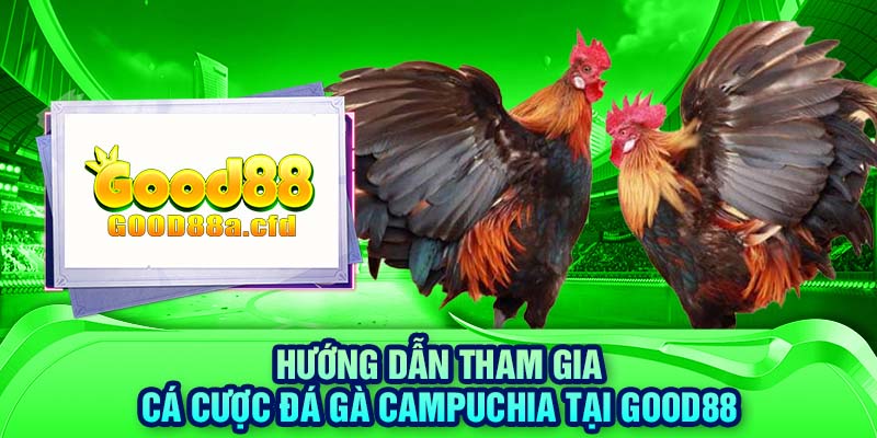 Hướng dẫn tham gia cá cược đá gà Campuchia tại GOOD88