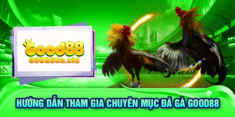 Hướng dẫn tham gia chuyên mục đá gà GOOD88