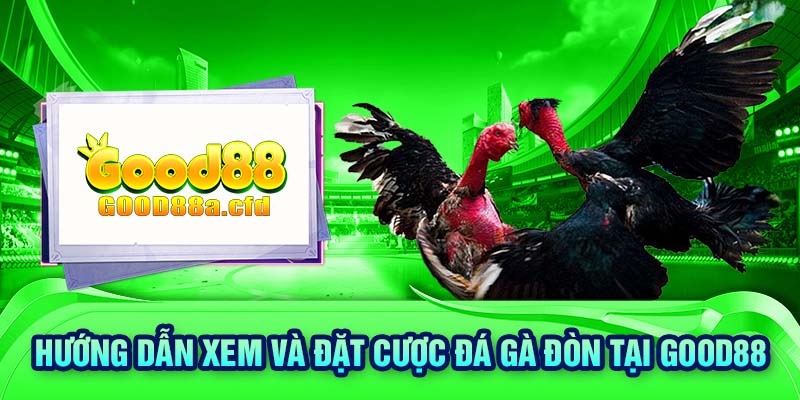 Hướng dẫn xem và đặt cược đá gà đòn tại GOOD88