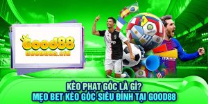 keo-phat-goc-la-gi-meo-bet-keo-goc-sieu-dinh-tai-good88