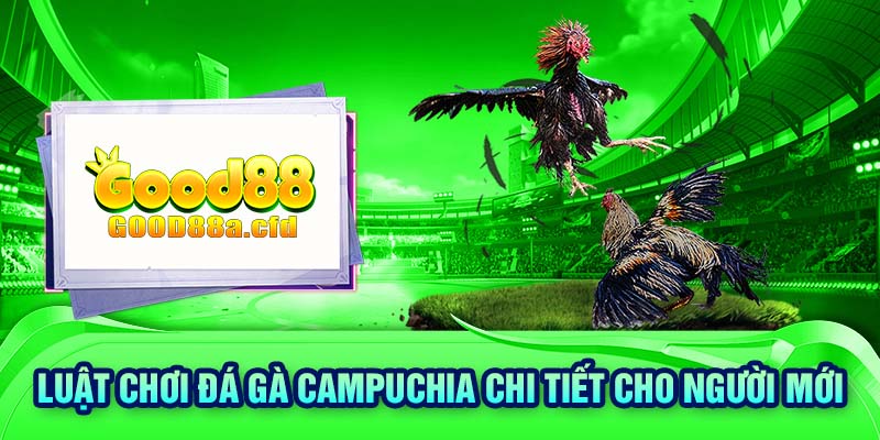 Luật chơi đá gà Campuchia chi tiết cho người mới