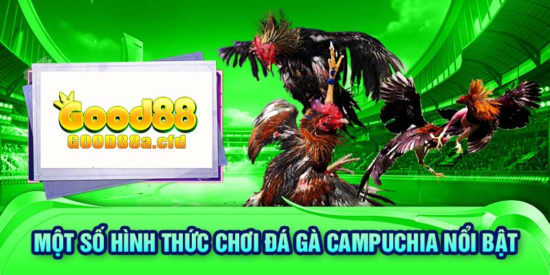 Một số hình thức chơi đá gà Campuchia nổi bật