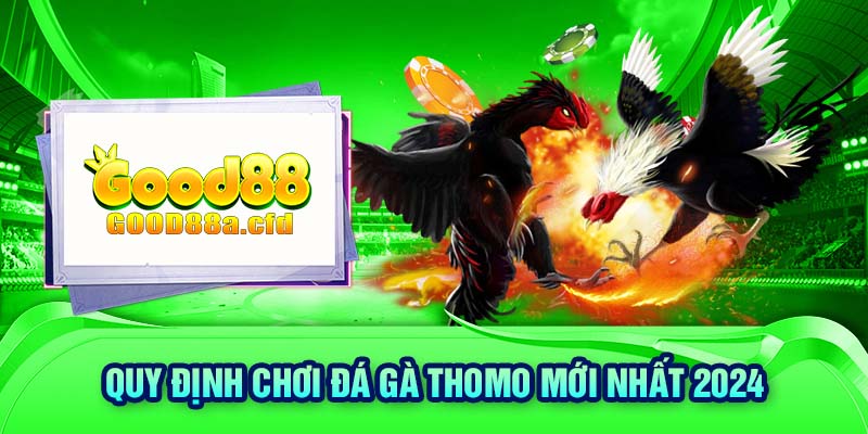 Quy định chơi đá gà Thomo mới nhất 2024