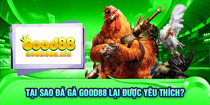 Tại sao đá gà GOOD88 lại được yêu thích?