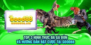 top-3-hinh-thuc-da-ga-don-va-huong-dan-dat-cuoc-tai-good88