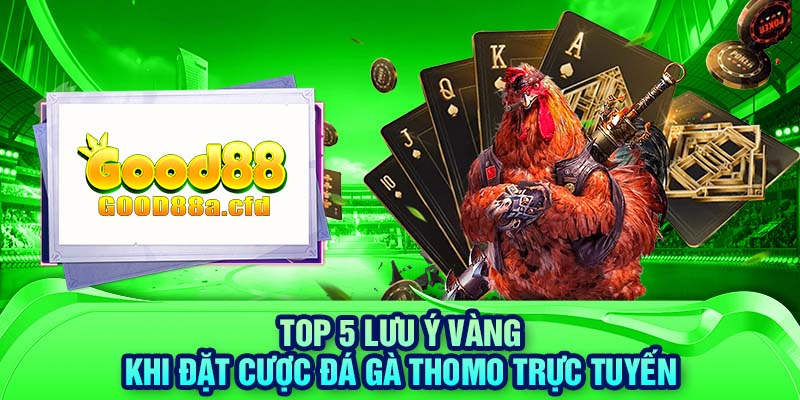 Top 5 lưu ý vàng khi đặt cược đá gà Thomo trực tuyến